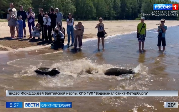 Эфир от 22.06.2026 (08:35)