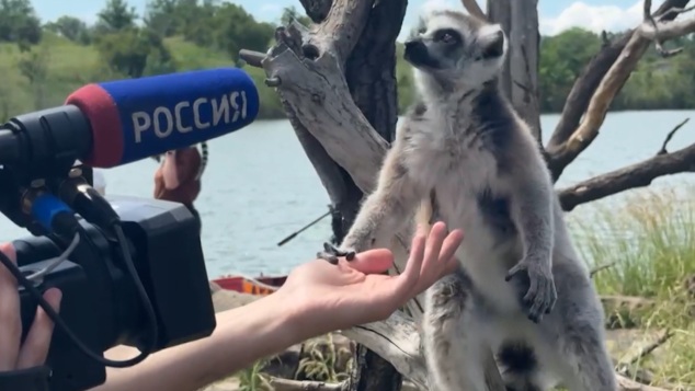 Эфир от 22.06.2026 (11:30)