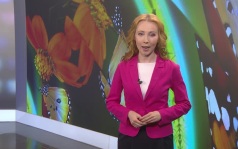 Эфир от 22.06.2026