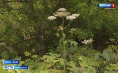 Эфир от 22.06.2026