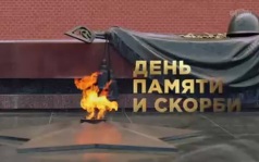 Трейлер Трейлер