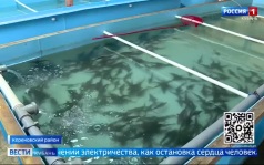 Эфир от 22.06.2026 (11:30)