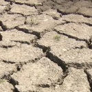 Угроза голода: Эль Ниньо ударит по бедным странам