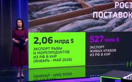 Китай резко увеличил закупки российской рыбы и морепродуктов