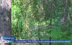 Вести Поморья в 11:30, эфир 24 июня 2026 г.