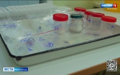 В Белгородской области более тысячи человек пострадали от укусов клещей