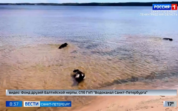 Эфир от 24.06.2026 (08:35)