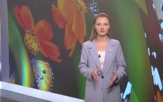 Эфир от 24.06.2026