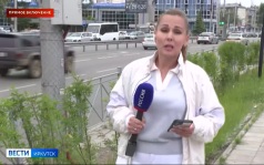 Прямое включение: очереди за бензином