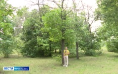 Эфир от 25.06.2026 (09:30)