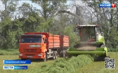 В селе Новая Глинка Яковлевского округа завершили первый укос люцерны для зимнего сенажа