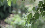 Какая погода ждет жителей региона в ближайшее время?