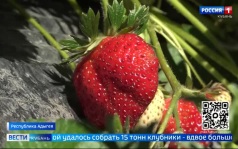 Эфир от 26.06.2026 (11:30)