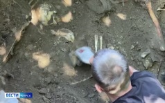 В Курской области проходит очередная поисковая экспедиция «Вахта Памяти»