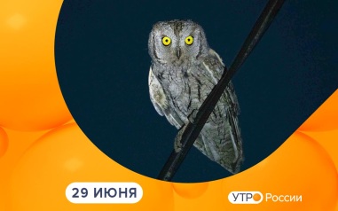 Эфир от 29.06.2026
