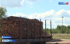 Вести Поморья в 21:10, эфир 26 июня 2026 г.