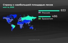 Мир в цифрах. Где больше всего лесов?