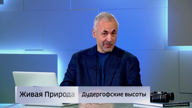 Живая природа. "Дудергофские высоты". Эфир от 27.06.2026