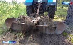В Тамбовской области ожидается высокая пожароопасность