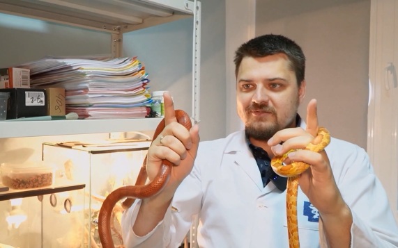 Ученый Белгородского ГАУ Василий Бутов коллекционирует рептилий