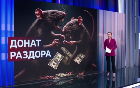 Террористический и запрещённый в России РДК гниёт изнутри