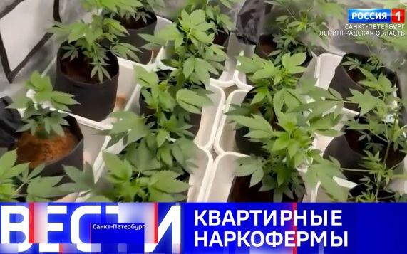 Эфир от 30.06.2026 (09:30)