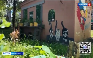 Эфир от 29.06.2026 (21:10)