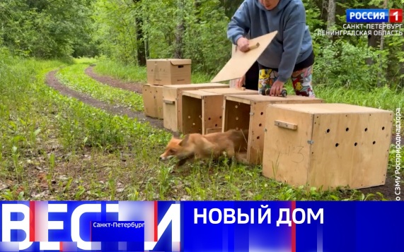 Эфир от 30.06.2026 (11:30)