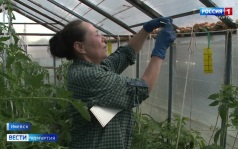 Эфир от 29.06.2026