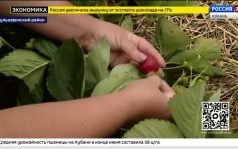 Эфир от 30.06.2026 (17:30)