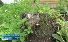 Эфир от 01.07.2026 (09:30)