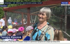 Павлины в парке Ивановки: как семья экзотических птиц осваивается в новом доме
