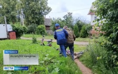 Эфир от 30.06.2026