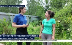В частном приюте деревни Столбова для сотни собак не хватает воды