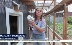 Знакомство на ощупь. В иркутском питомнике голубей «Счастье летать» прошла инклюзивная экскурсия