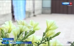 Эфир от 03.07.2026