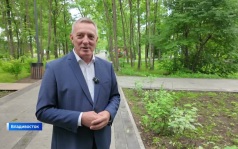 Десятки новых цветущих кустов и елей украсили парк имени Лазо во Владивостоке