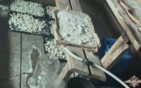 В Краснодарском крае и других регионах пресекли работу наркосиндиката
