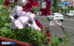 Зной сменяется дождями: прогноз погоды на выходные в Тамбове