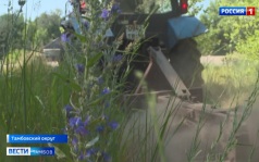 В Степном лесхозе рассказали, как борются с лесными пожарами