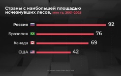 Россия в цифрах. Из-за чего исчезают леса ?