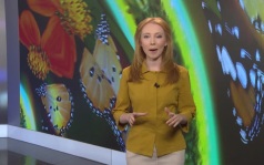 Эфир от 06.07.2026
