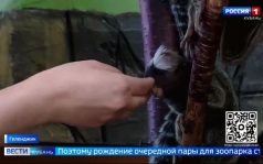 Эфир от 06.07.2026 (11:30)