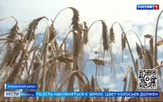 Эфир от 29.06.2026 (21:10)