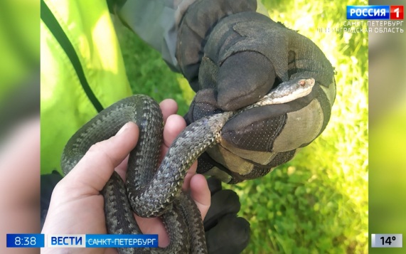Эфир от 07.07.2026 (08:35)