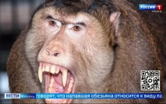 Эфир от 06.07.2026 (21:10)