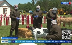 Эфир от 07.07.2026 (11:30)