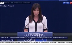 Депутат ЕП Зайончковская-Герник порвала флаг УПА в Европарламенте