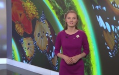 Эфир от 08.07.2026