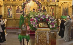 В Сочи отметили День семьи, любви и верности